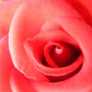 Meet your Posher, Aubrey